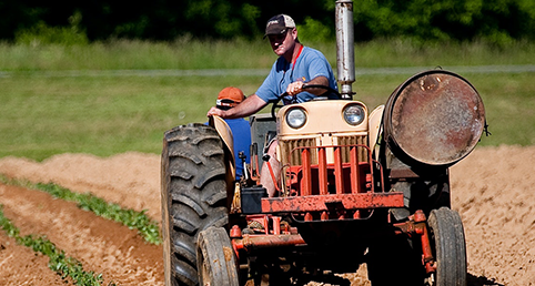 Man riding red tractor on a field